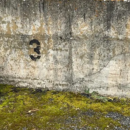 公寓 Modern With Free Parking 塔什