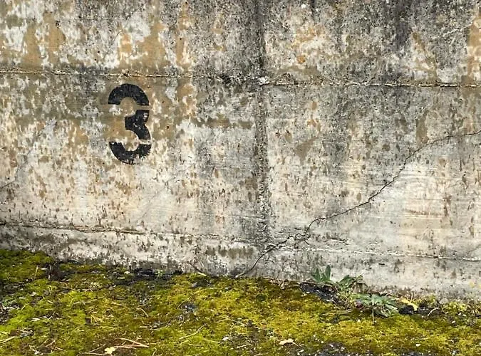 Daire Modern With Free Parking Täsch