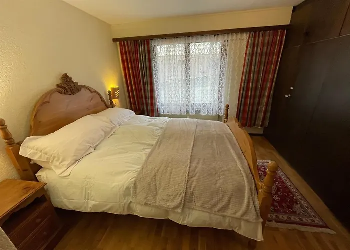 Lejlighed Modern With Free Parking Täsch