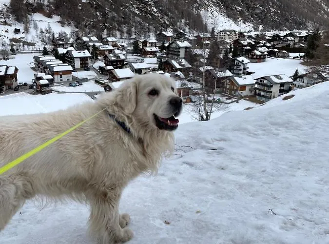 Modern With Free Parking Täsch