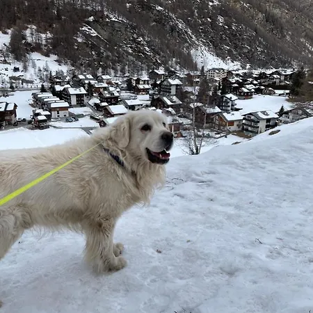 Modern With Free Parking Täsch